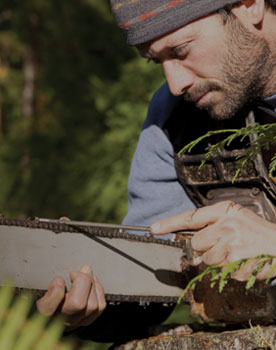 We're professional tree service experts.